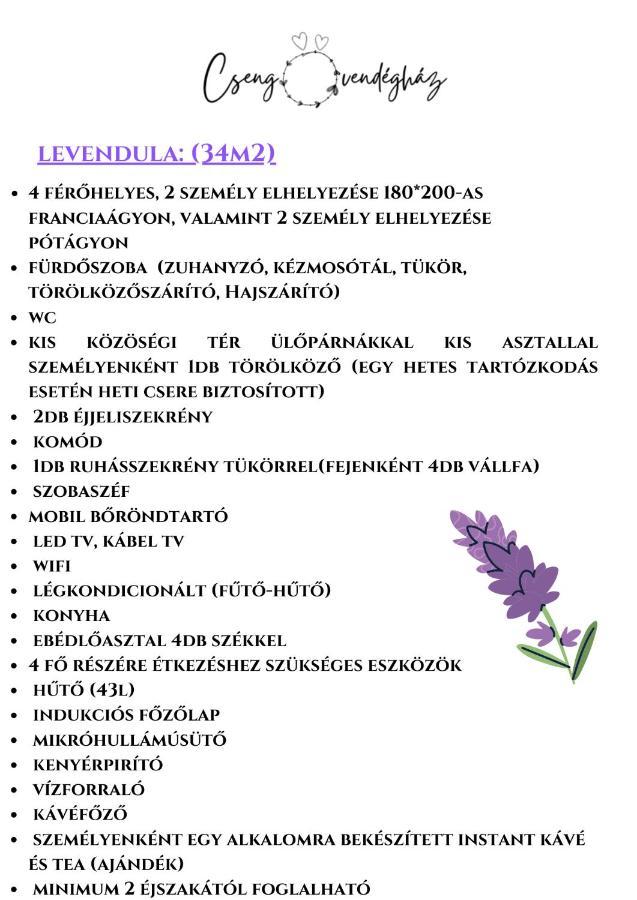 Csengo Vendeghaz Ξενοδοχείο Kiskoros Εξωτερικό φωτογραφία
